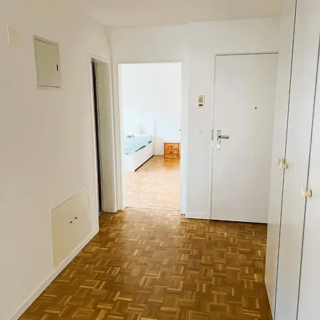 Large Center With Balcony Alt - Self Checkin Zurych